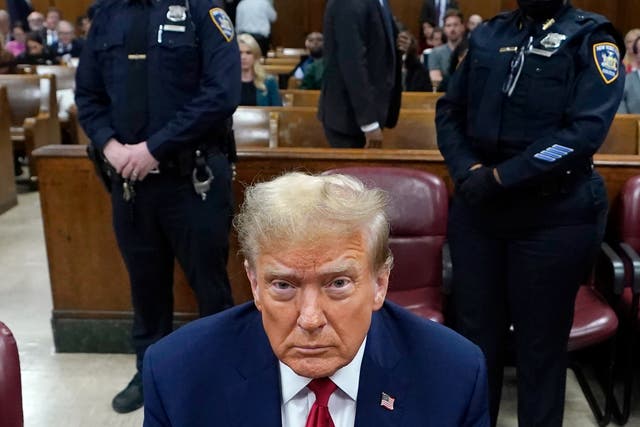 <p>Donald Trump sits in Manhattan criminal court during his hush money trial </p>