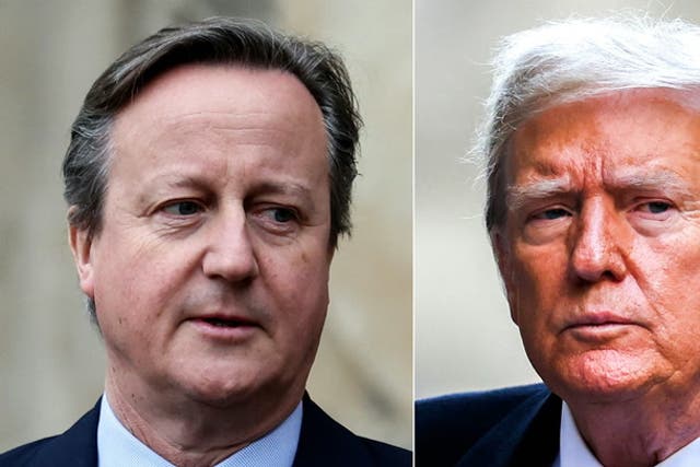 <p>David Cameron describes Donald Trump in two words after recent meeting.</p>