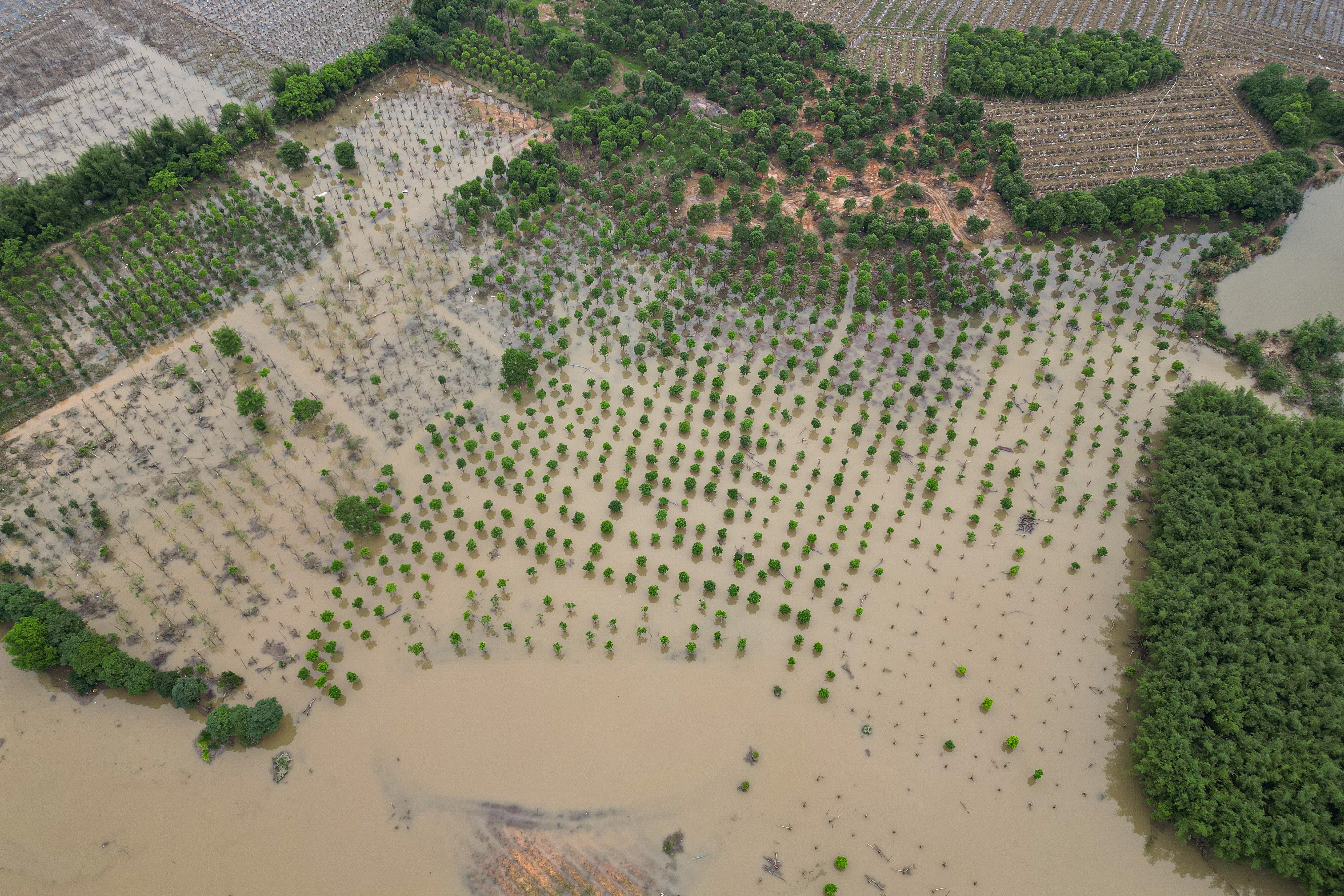 Farmland is soaked in river water after the heavy rainfall on April 24, 2024 in Shaoguang, China