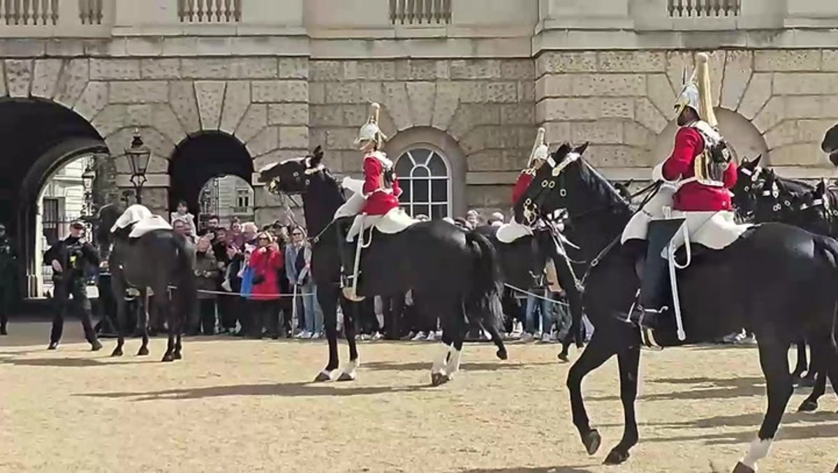 Household Cavalry horse spooked and rider thrown to ground in separate incident after London chaos