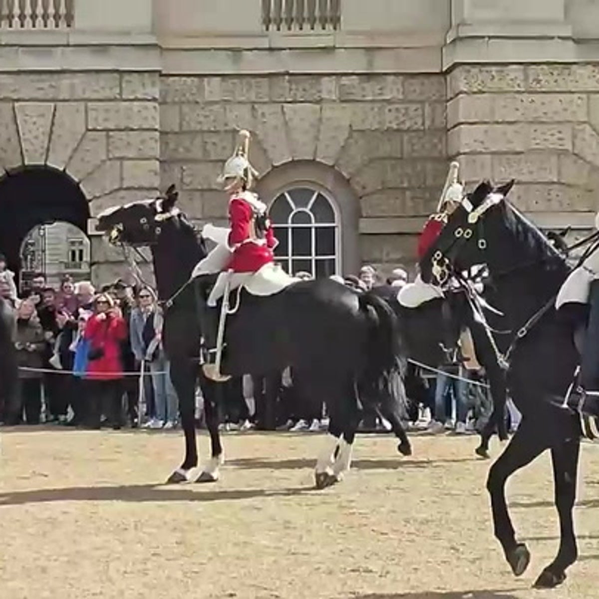 Horseback Riding Funny Horse Jumping Videos Hilarious Horse Fails