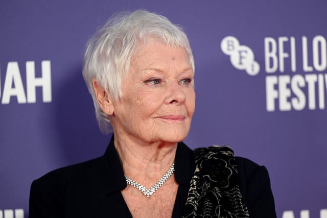 <p>Judi Dench appears at the 2024 Hay Festival</p>