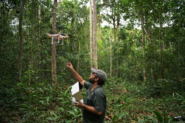 <p>A World Wildlife Fund conservation analyst uses a drone to map the Ituxi rainforest in the western Amazon region of Brazil</p>