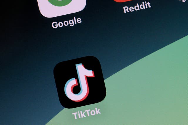 <p>In this photo illustration, the TikTok app is displayed on an iPhone screen on April 24, 2024 in Miami, Florida</p>