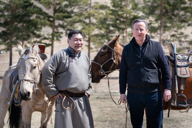 Foreign Secretary Lord David Cameron (Stefan Rousseau/PA)