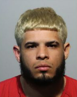 Jordanish Torres-Garcia was taken into custody on 19 April on unrelated charges to the carjacking case. Speaking to authorities, he identified himself as the masked man who carjacked the white Dodge Durango