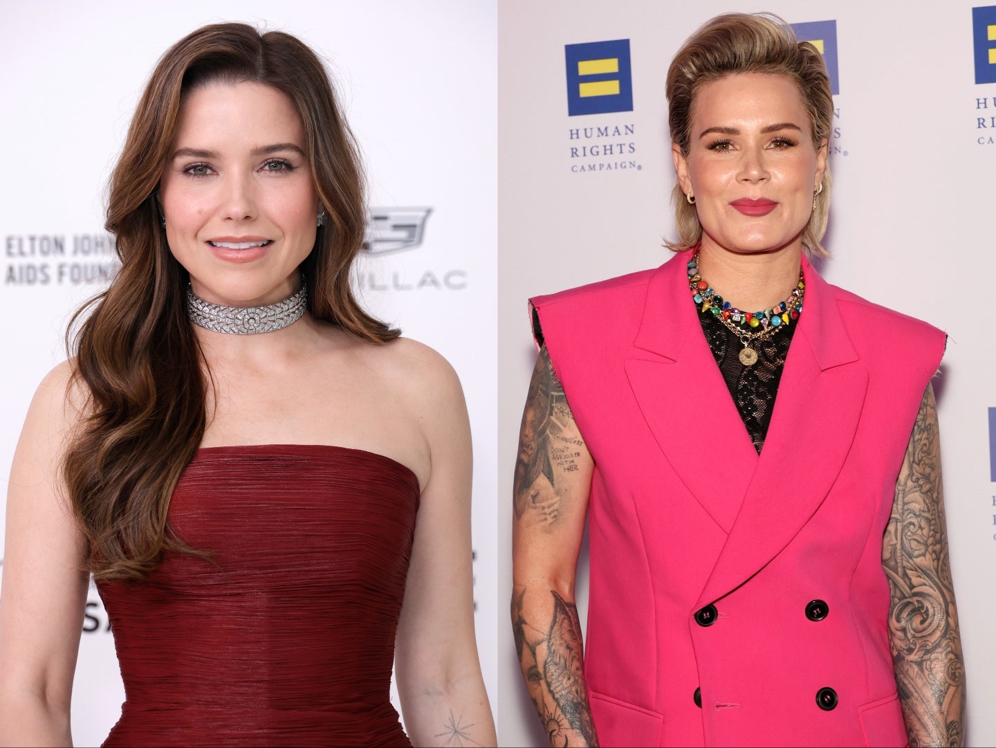 <p>Sophia Bush and Ashlyn Harris</p>