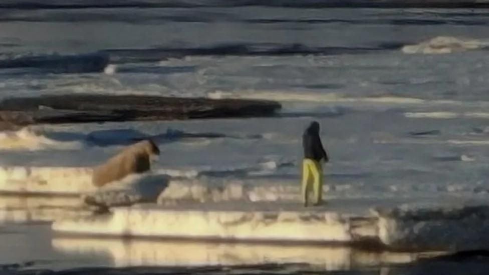 The tourist from Poland is seen standing too close to the walrus