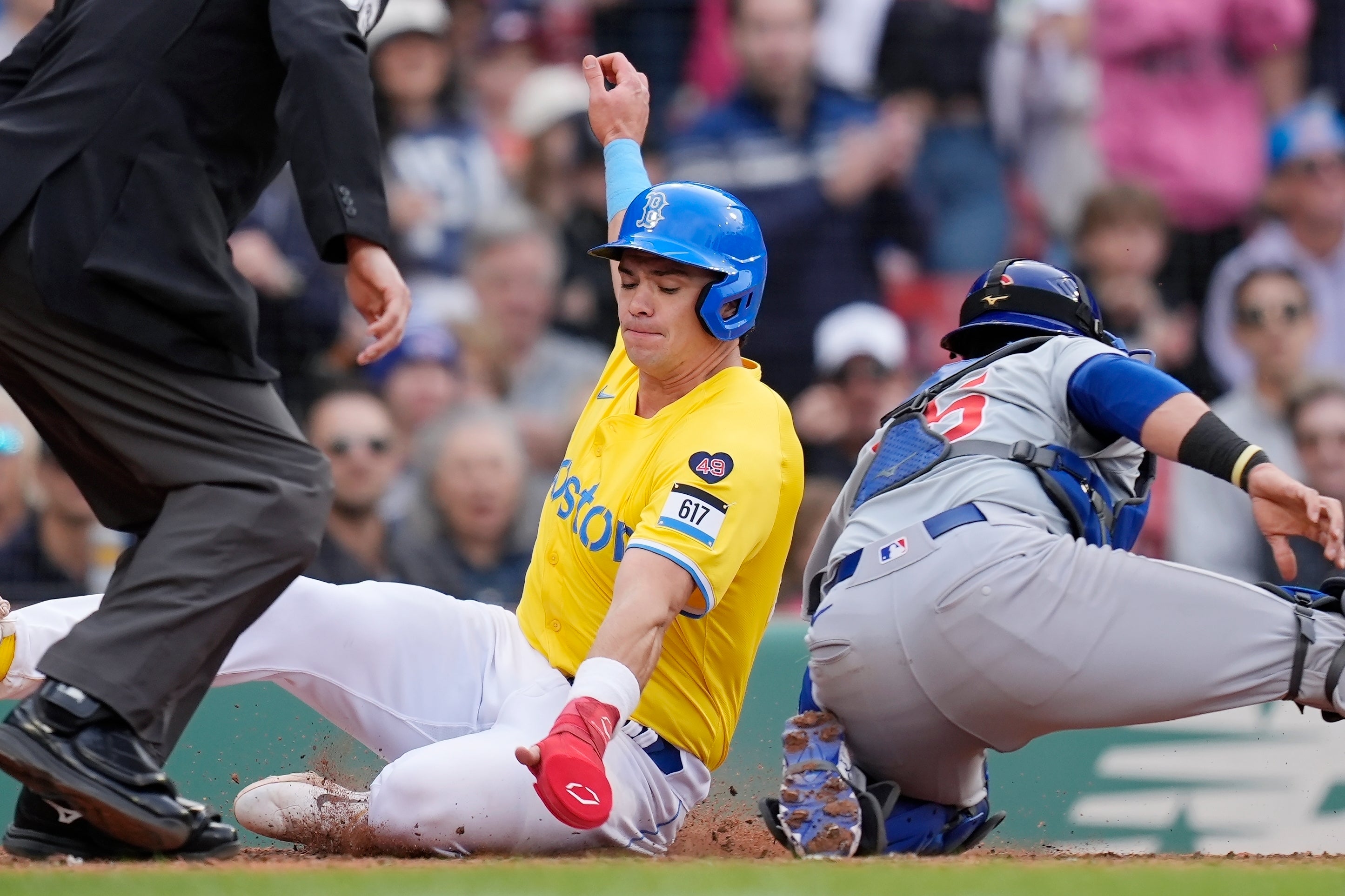 CACHORROS-MEDIAS ROJAS
