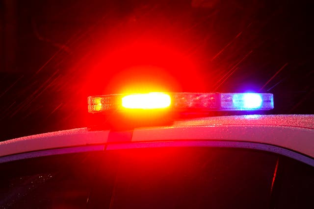 <p>A 97-year-old grandma was beaten to death and stuffed in the trunk of a car </p>