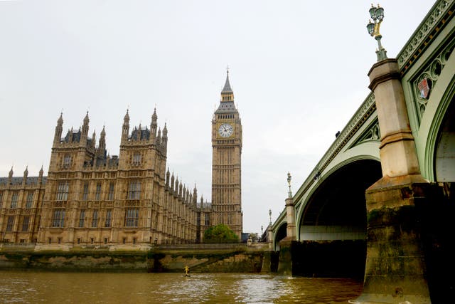 <p>Parliament (Anthony Devlin/PA)</p>