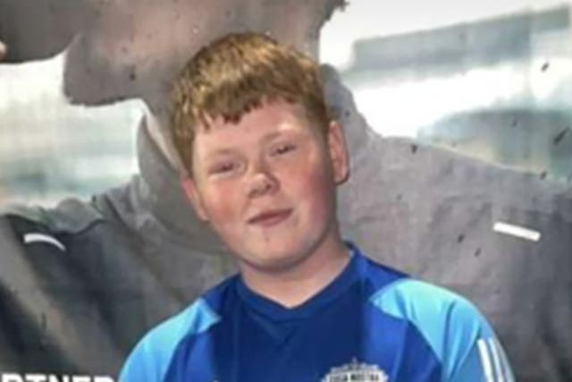 <p>Alfie Lewis, 15, was knifed through the heart ‘in full view’ of children and parents leaving a primary school in the Horsforth area of Leeds last November</p>