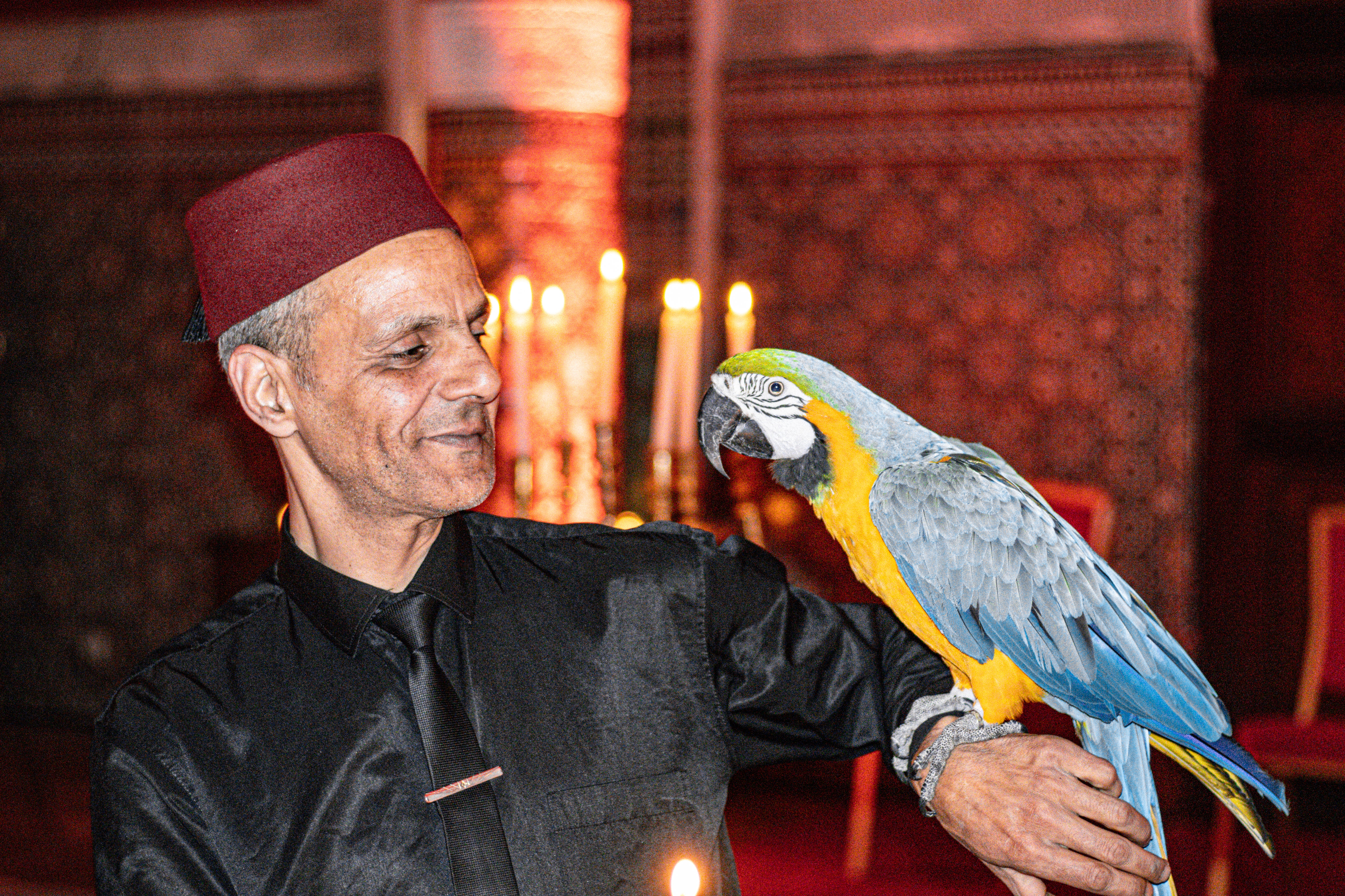 Waiter and parrot at Palais Soleiman restaurant