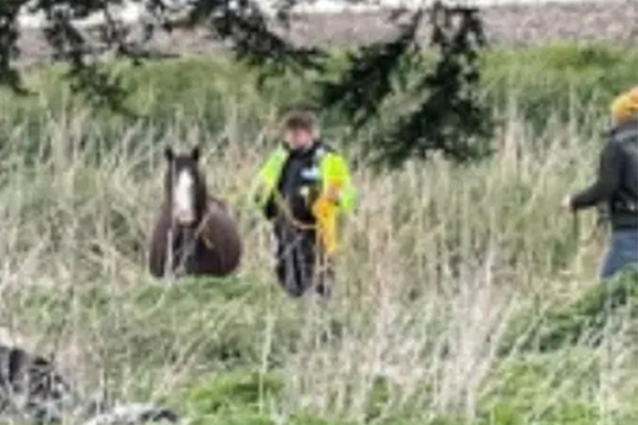 Officer with captured horse