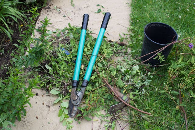 Chopping and dropping clippings on the garden can save money and time, experts said (Alamy/PA)