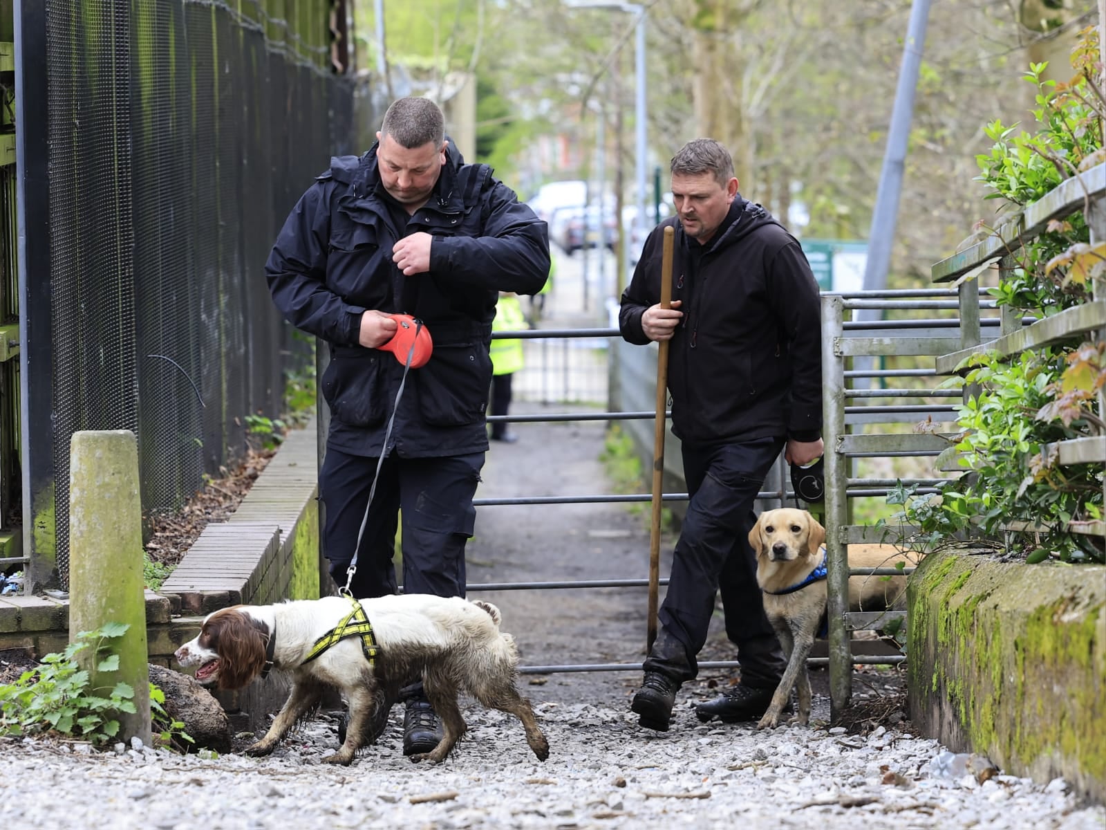 Police dogs scour Colliery Wood