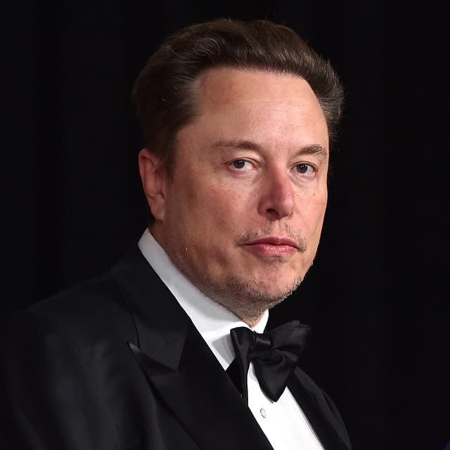 <p>Elon Musk, pictured on 29 April, 2024.  He hosted an ‘anti-Biden’ dinner which was attended by fellow billionaires </p>