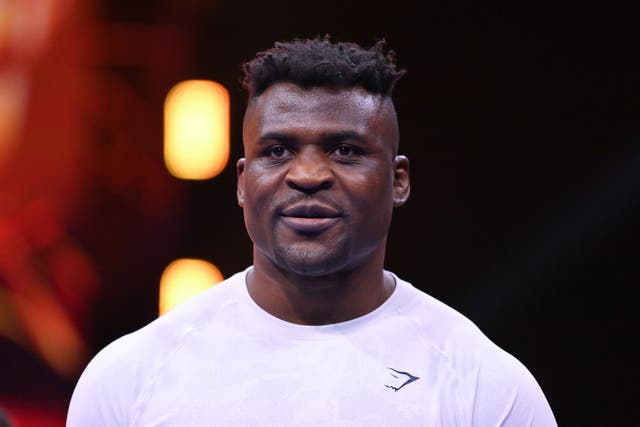 <p>Francis Ngannou recently fought British heavyweights Tyson Fury and Anthony Joshua</p>