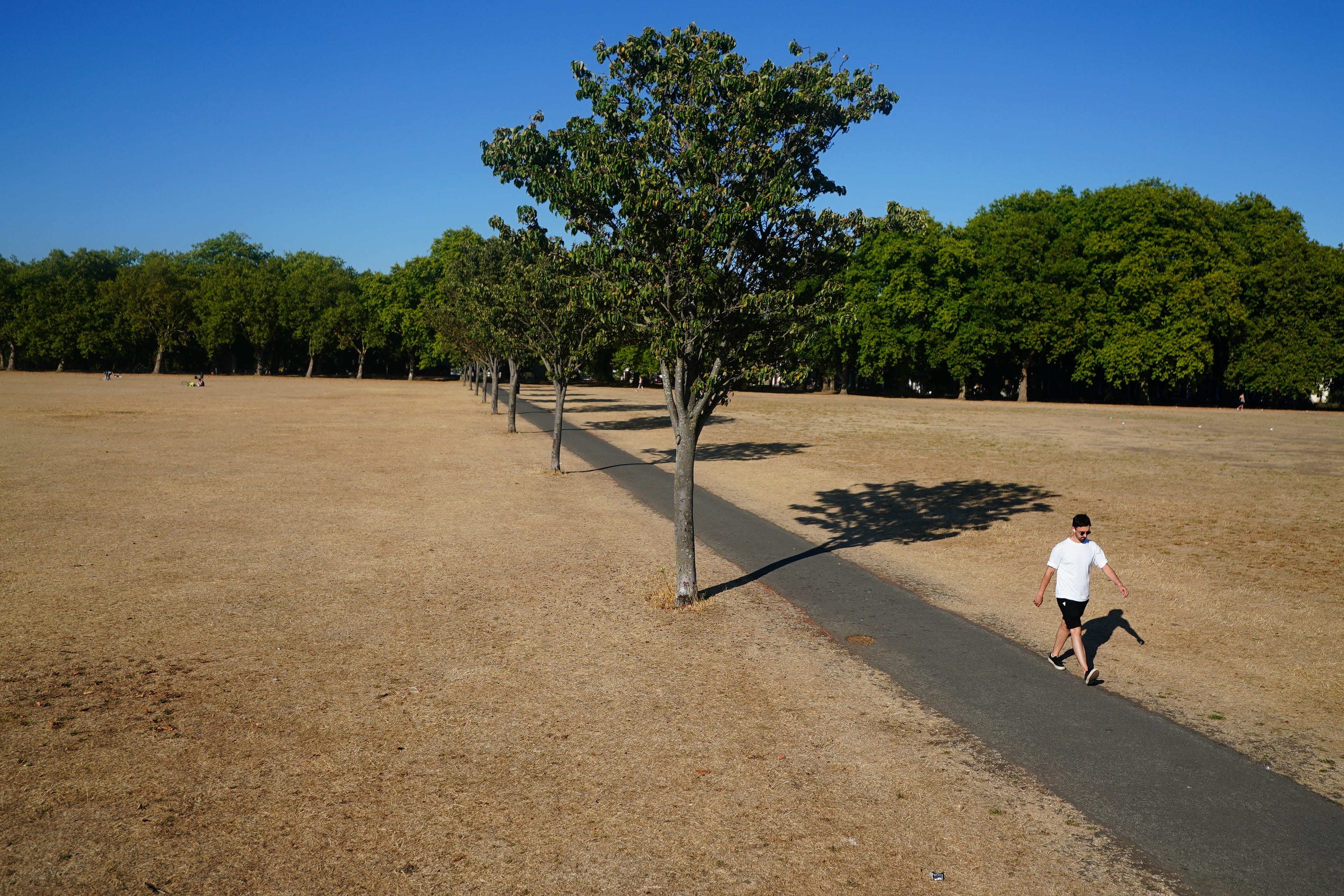 MPs urged the Government to introduce a statutory requirement for local authorities to protect green space (Victoria Jones/PA)