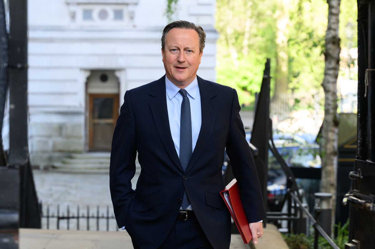 Watch David Cameron testify before the Lords committee after urging Hamas to accept ceasefire deal