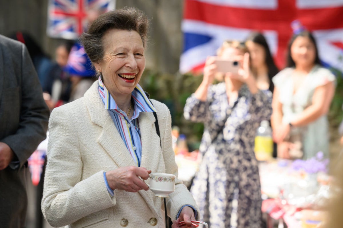 Princess Anne in hospital with concussion after ‘being kicked by horse’ 