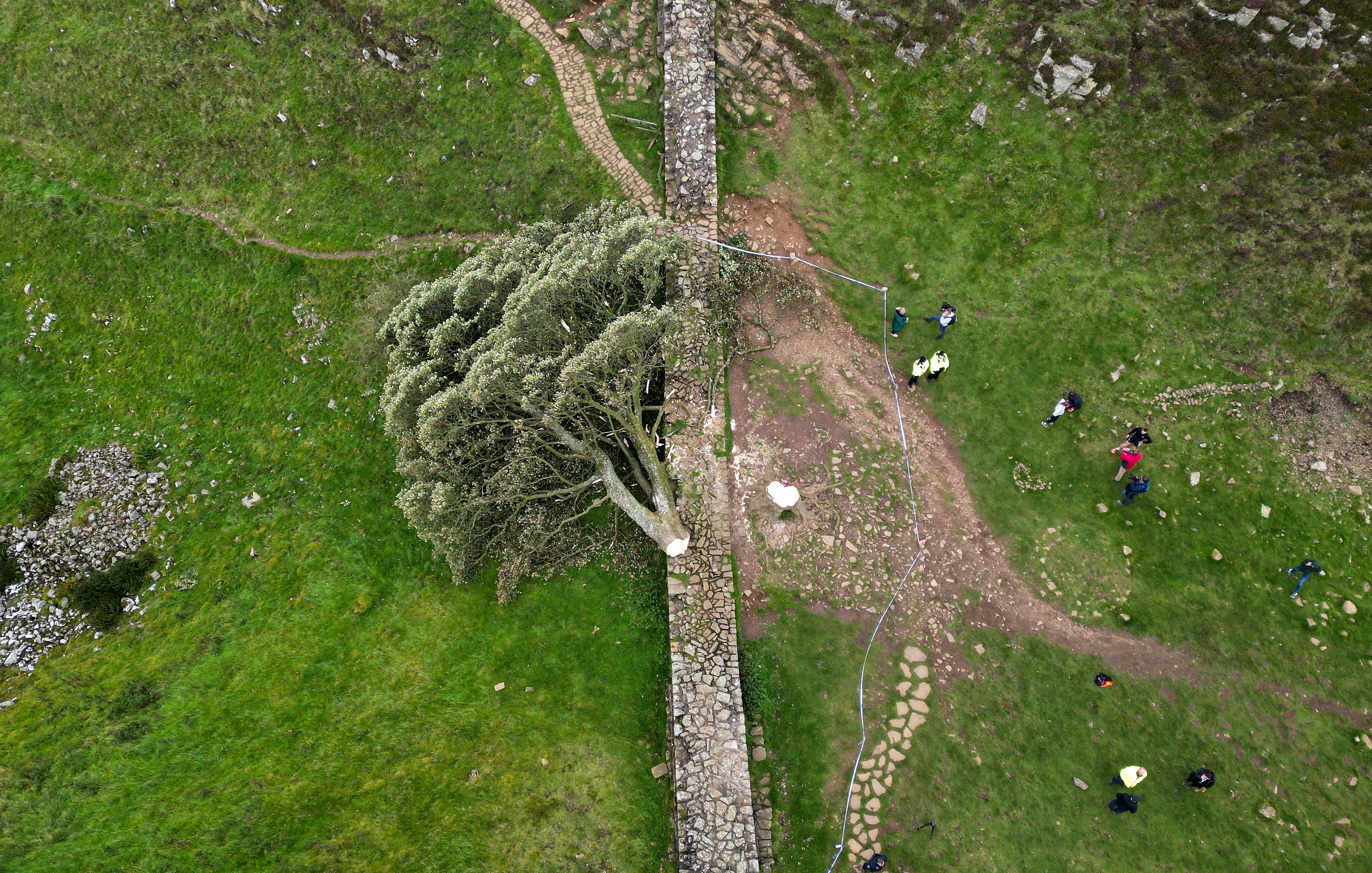 An aerial view shows the felled Sycamore Gap tree, along Hadrian’s Wall, near Hexham, northern England on September 28, 2023