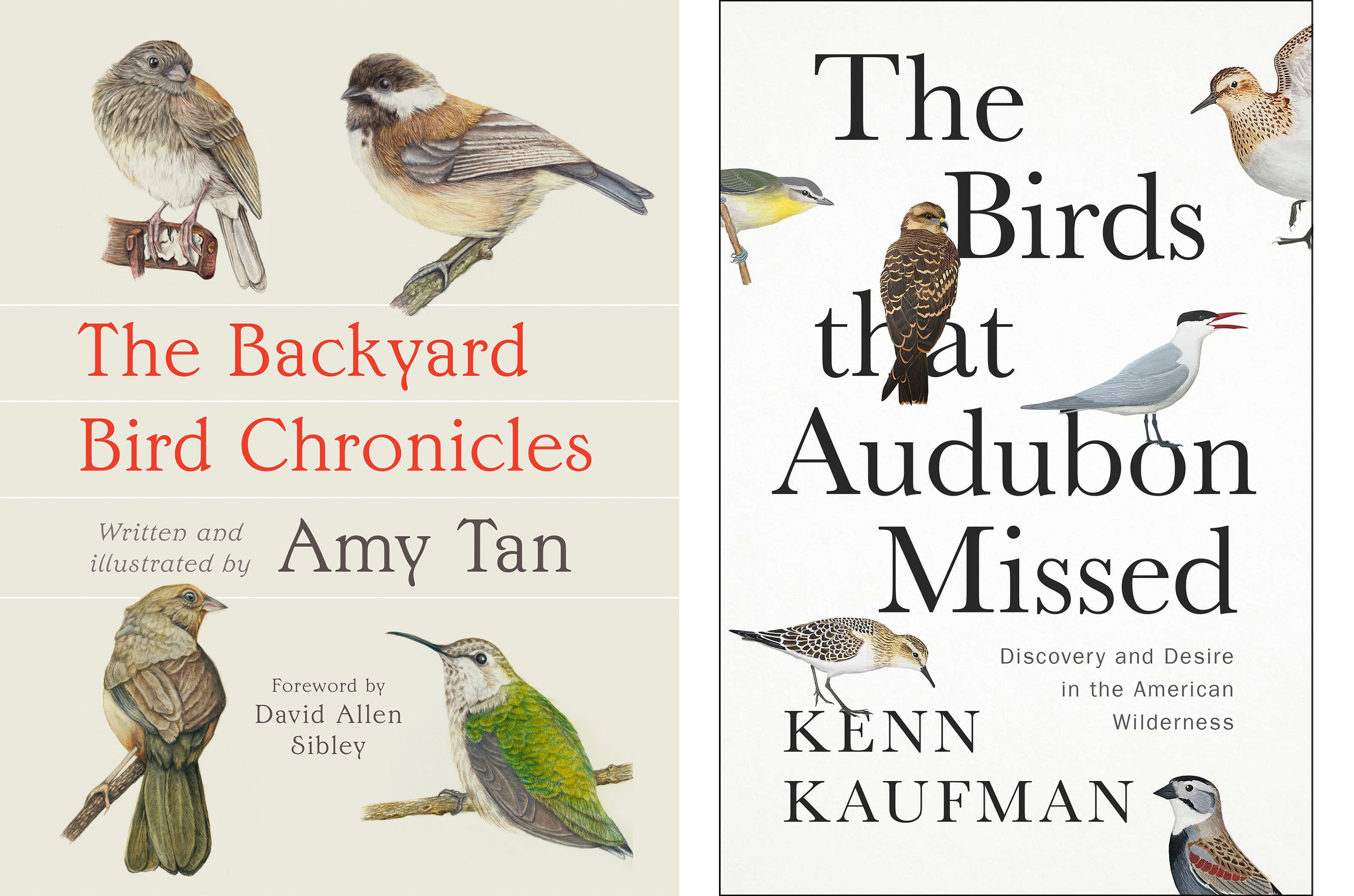 Book Review - The Backyard Bird Chronicles