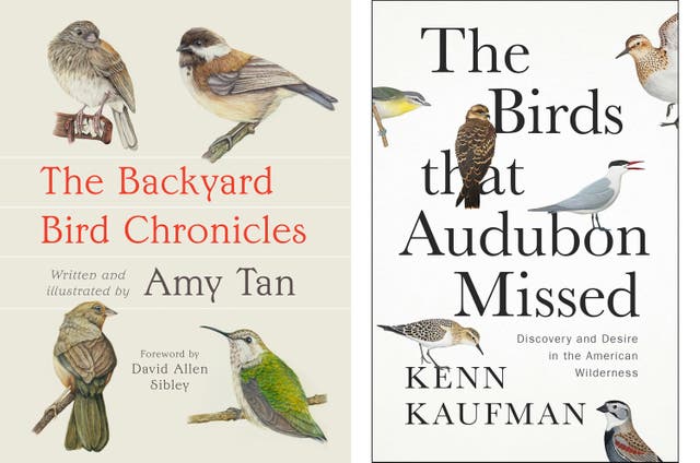 Book Review - The Backyard Bird Chronicles