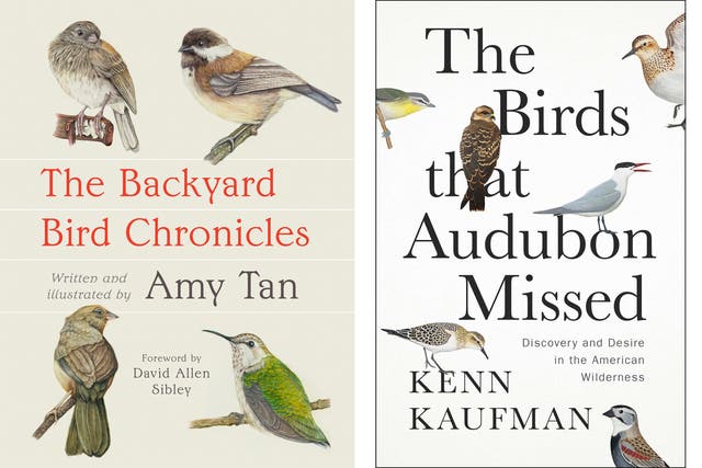 Book Review - The Backyard Bird Chronicles