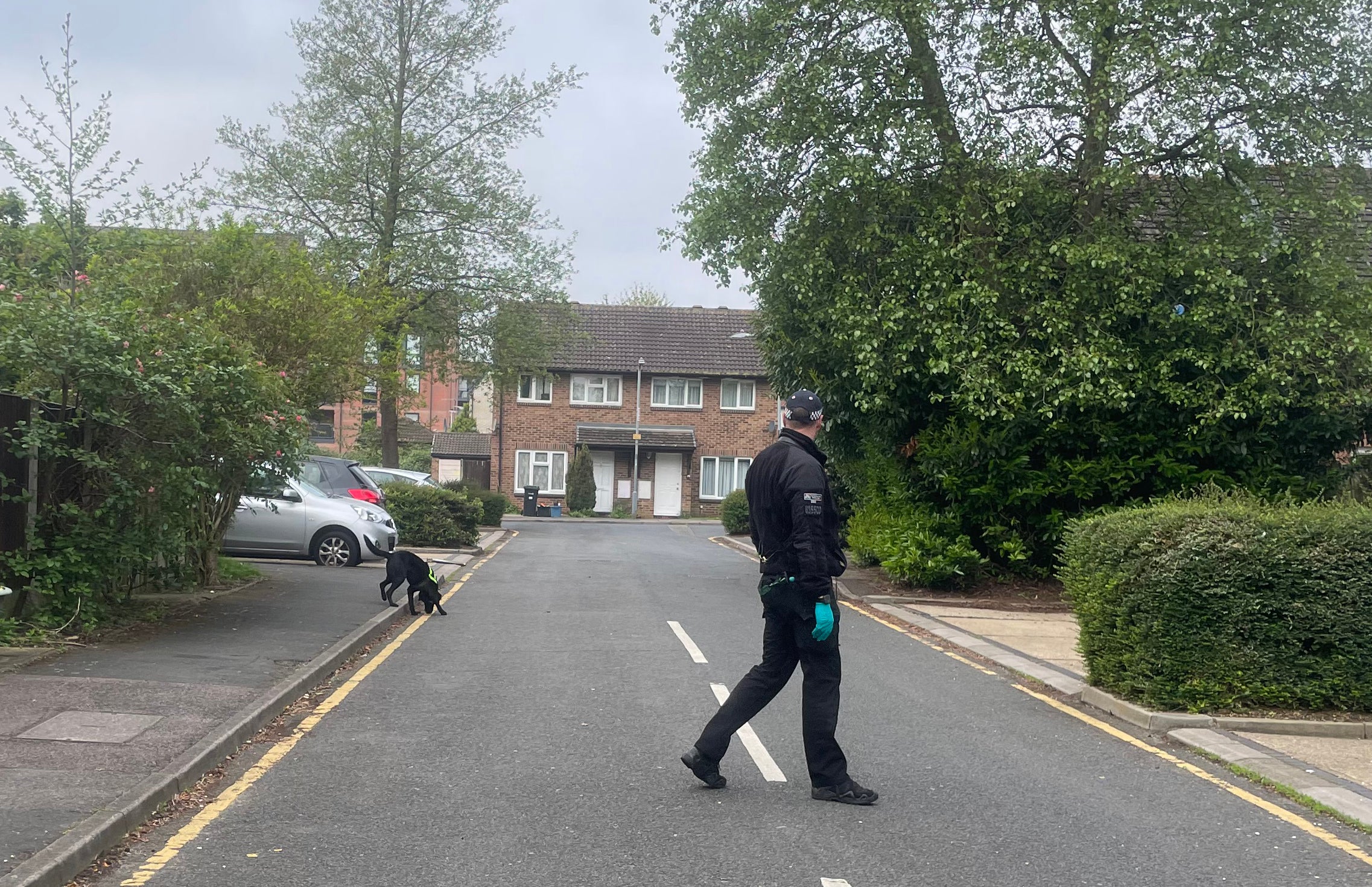 A police dog sweeps the area where a 14-year-old boy was killed in a sword attack on Tuesday that saw four others injured
