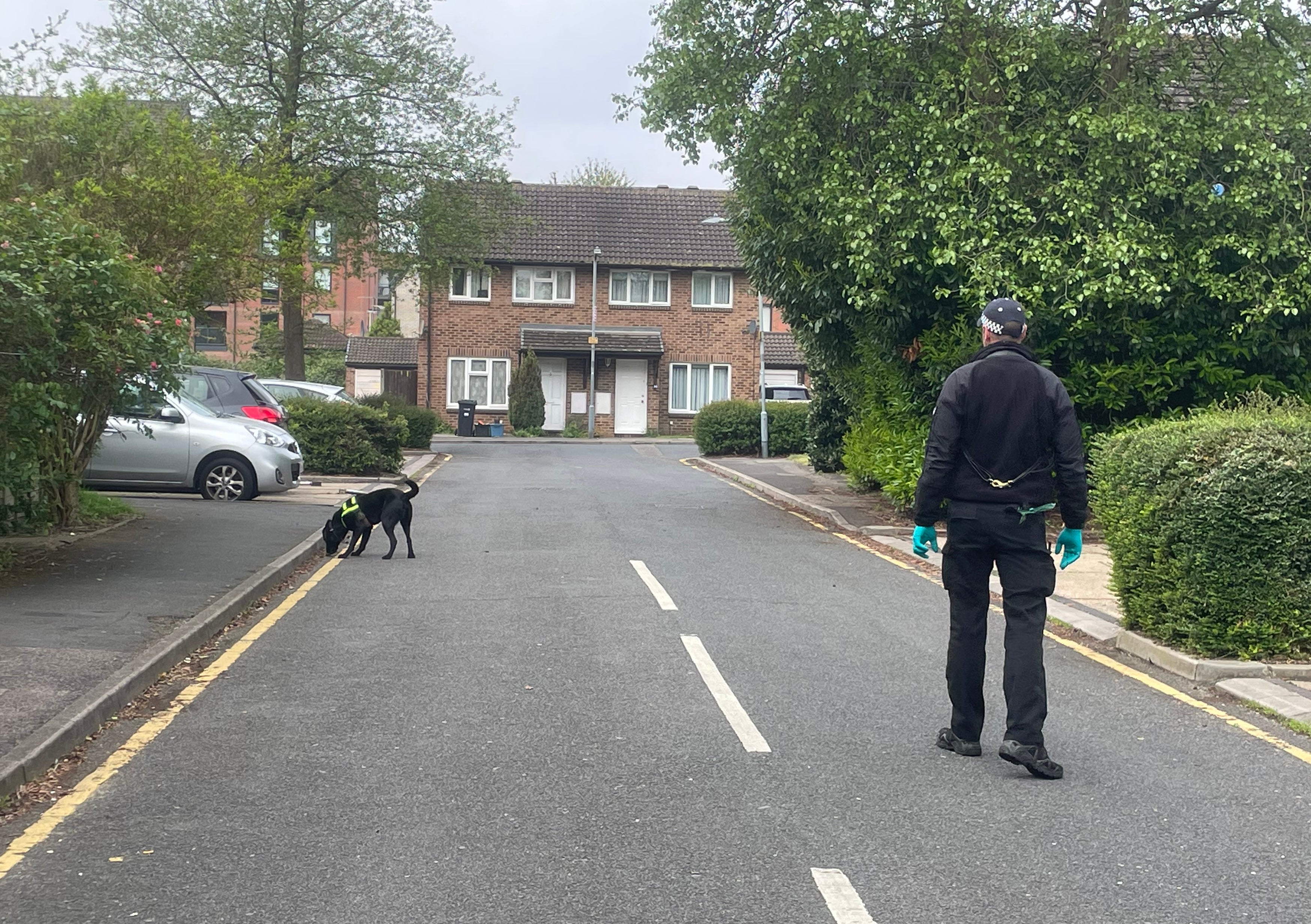 A police sniffer dog sweeps through the streets around the police cordon in Hainault, north east London