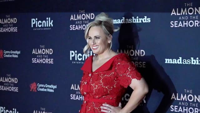 <p>Rebel Wilson dazzles in red dress at UK premiere of The Almond and the Seahorse.</p>
