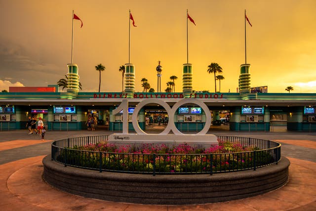 <p>Disney World originally opened in 1971 </p>