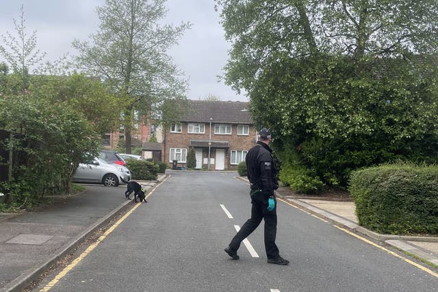 A police sniffer dog sweeps through the streets around the police cordon in Hainault, north east London, where the boy was killed (Samuel Montgomery/PA)