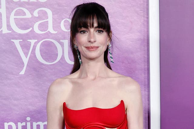 <p>Anne Hathaway is praised for calming impatient paparazzi  </p>