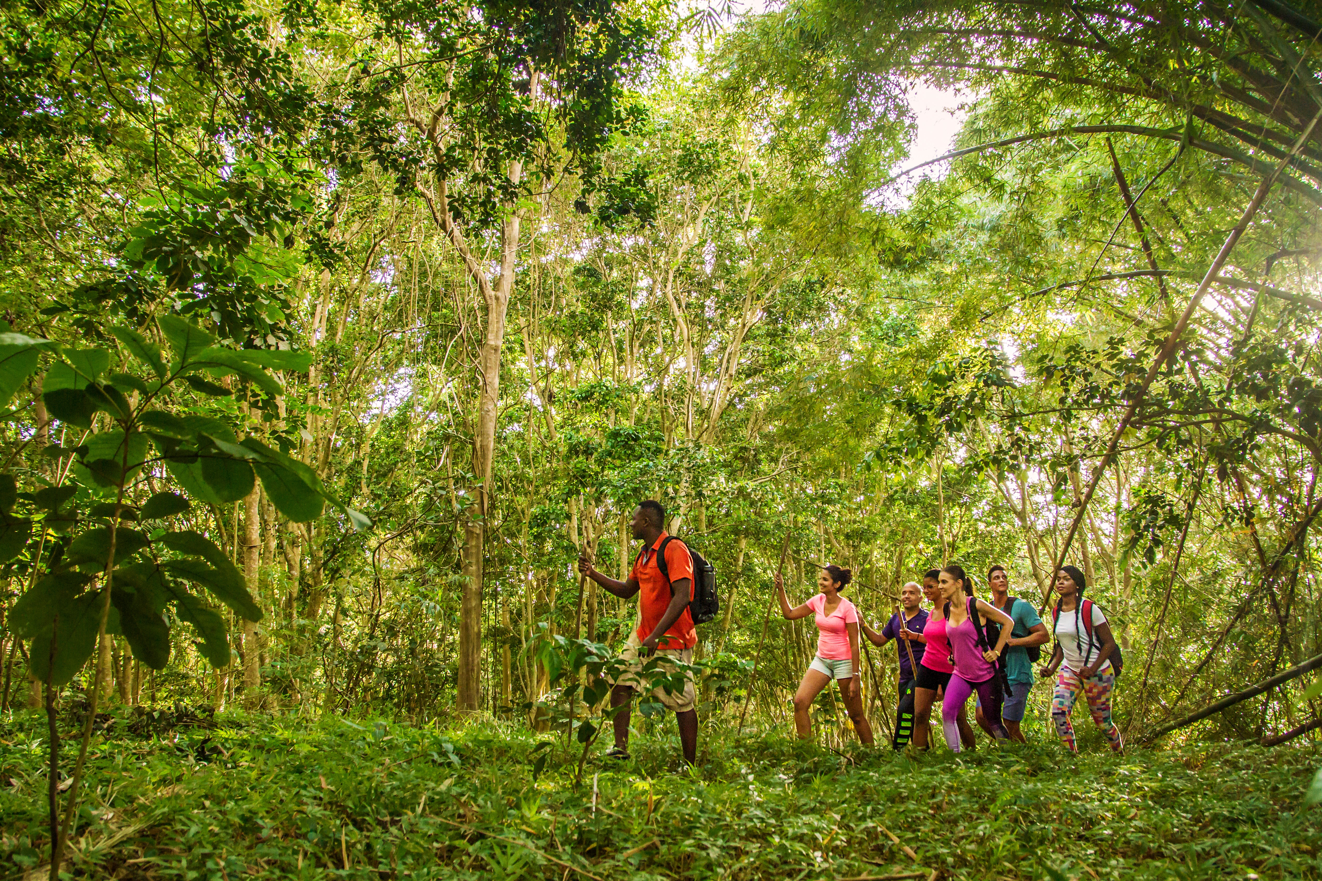 Take in Barbados’ wonderful wildlife with a walking tour