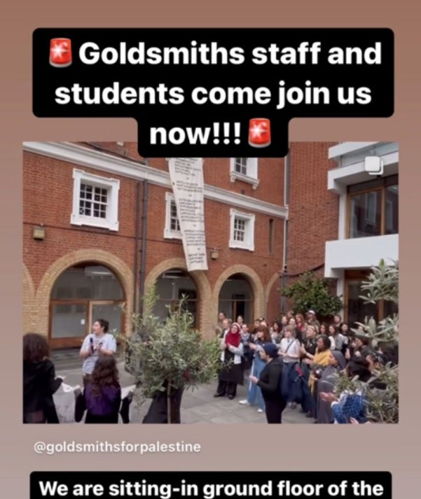 Students hold a pro-Palestine rally at Goldsmiths