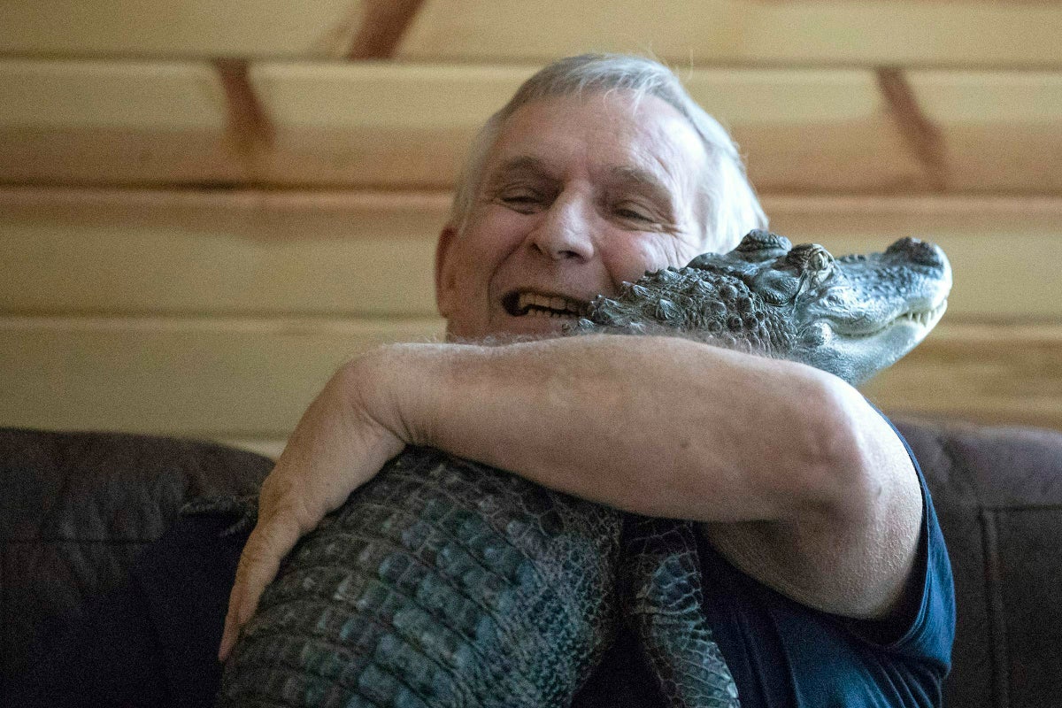 Man says his emotional support alligator, known for its big social media audience, has gone missing