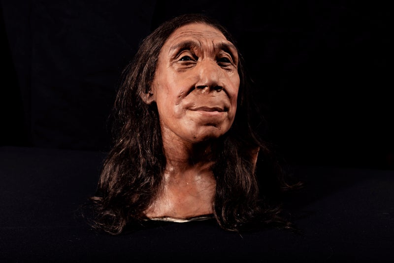 The newly discovered gene that sets us apart from Neanderthals