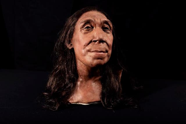 <p>The recreated face of Neanderthal woman Shanidar Z </p>