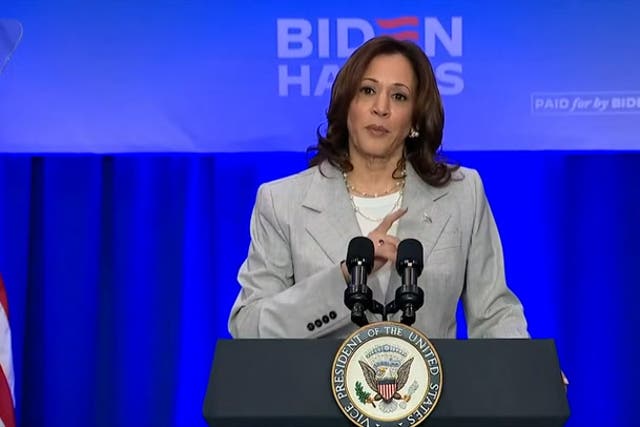 <p>Kamala Harris traveled on Air Force Two with journalists including The Independent’s Eric Garcia on Monday </p>