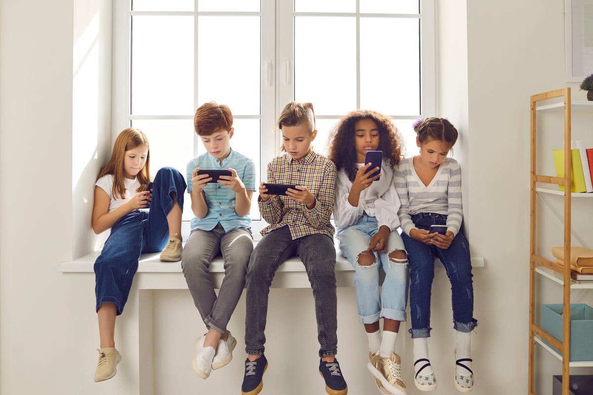 Former tech CEO praises Australia for banning social media for kids under 16