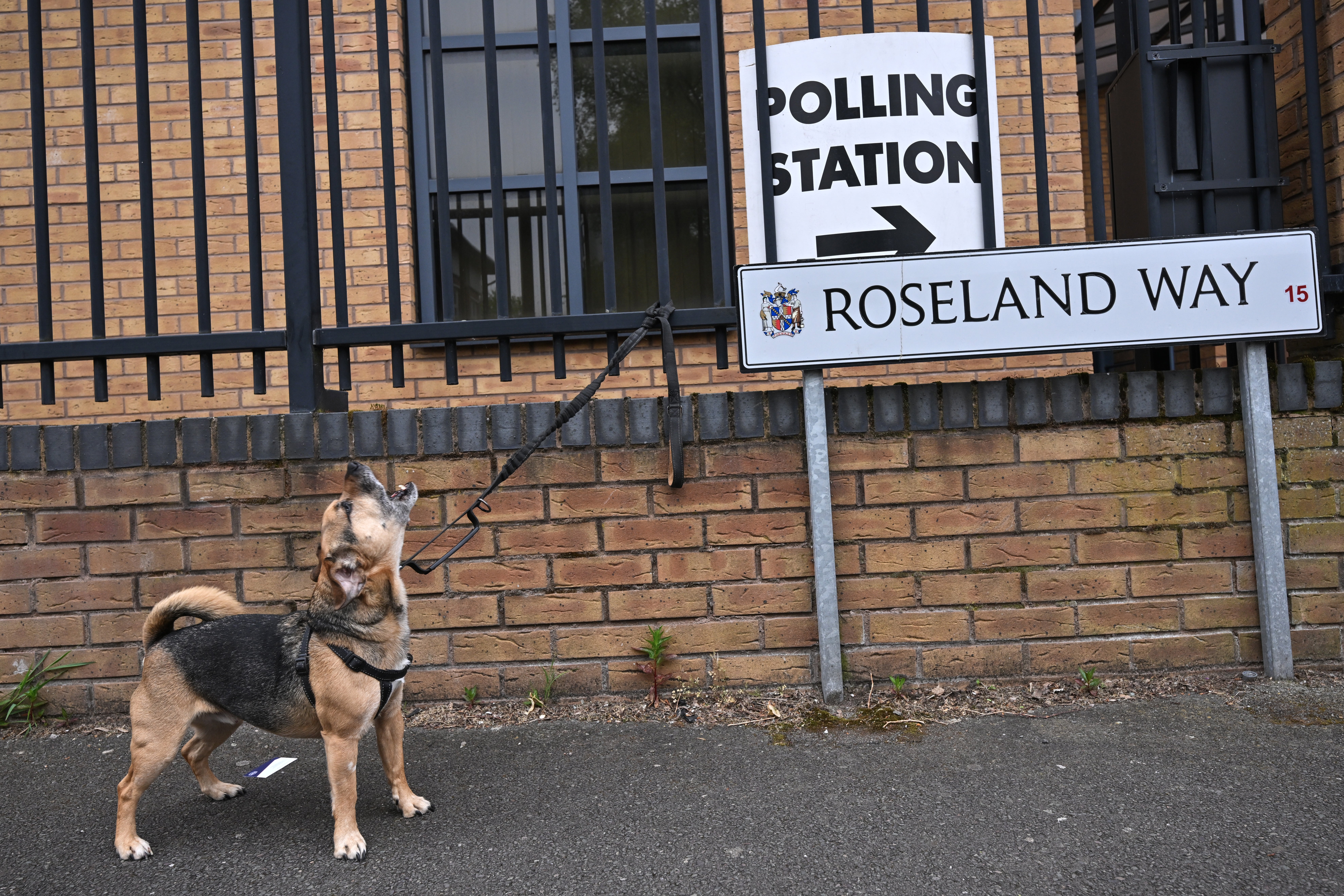 Voters across the country took to the polls for local council elections