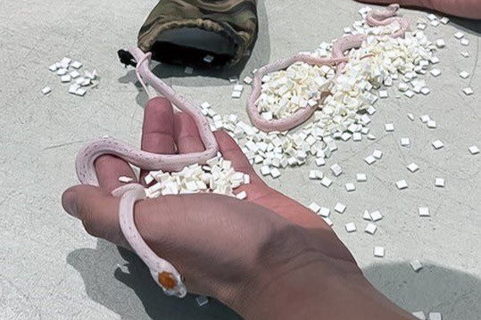 <p>A passenger at Miami International Airport was stopped from boarding an international flight after he admitted to TSA that he was hiding a bag of snakes down his trousers</p>