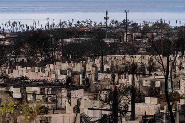 Hawaii Wildfires Cellphones