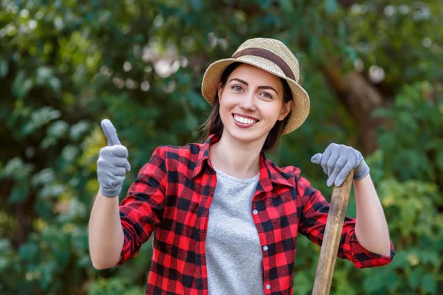 Don’t forget about cover if you’re planning a garden makeover (Alamy/PA)