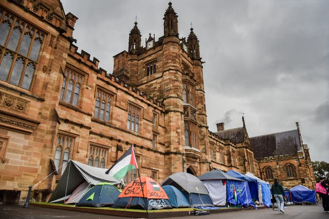 <p>A protest camp for Palestine set up by students at Sydney University </p>