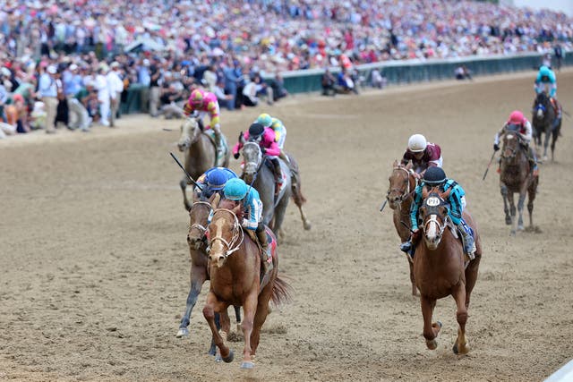 <p>The Kentucky Derby will be held for the 150th time </p>