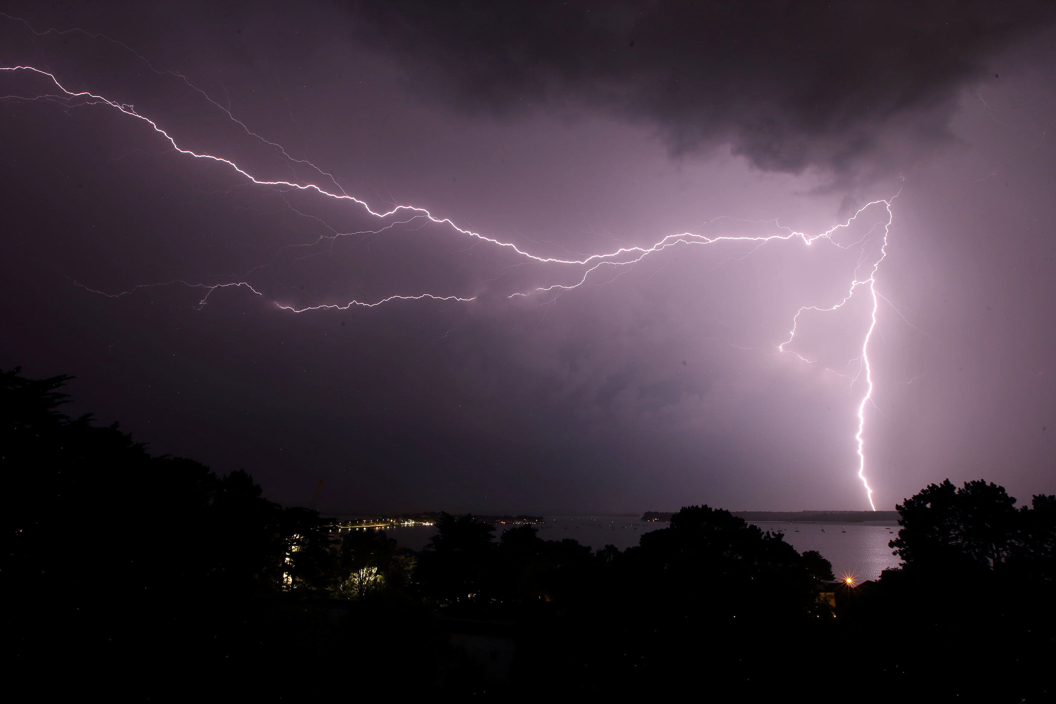 A man and over 30 cows were killed in a Colorado lightning strike on Saturday