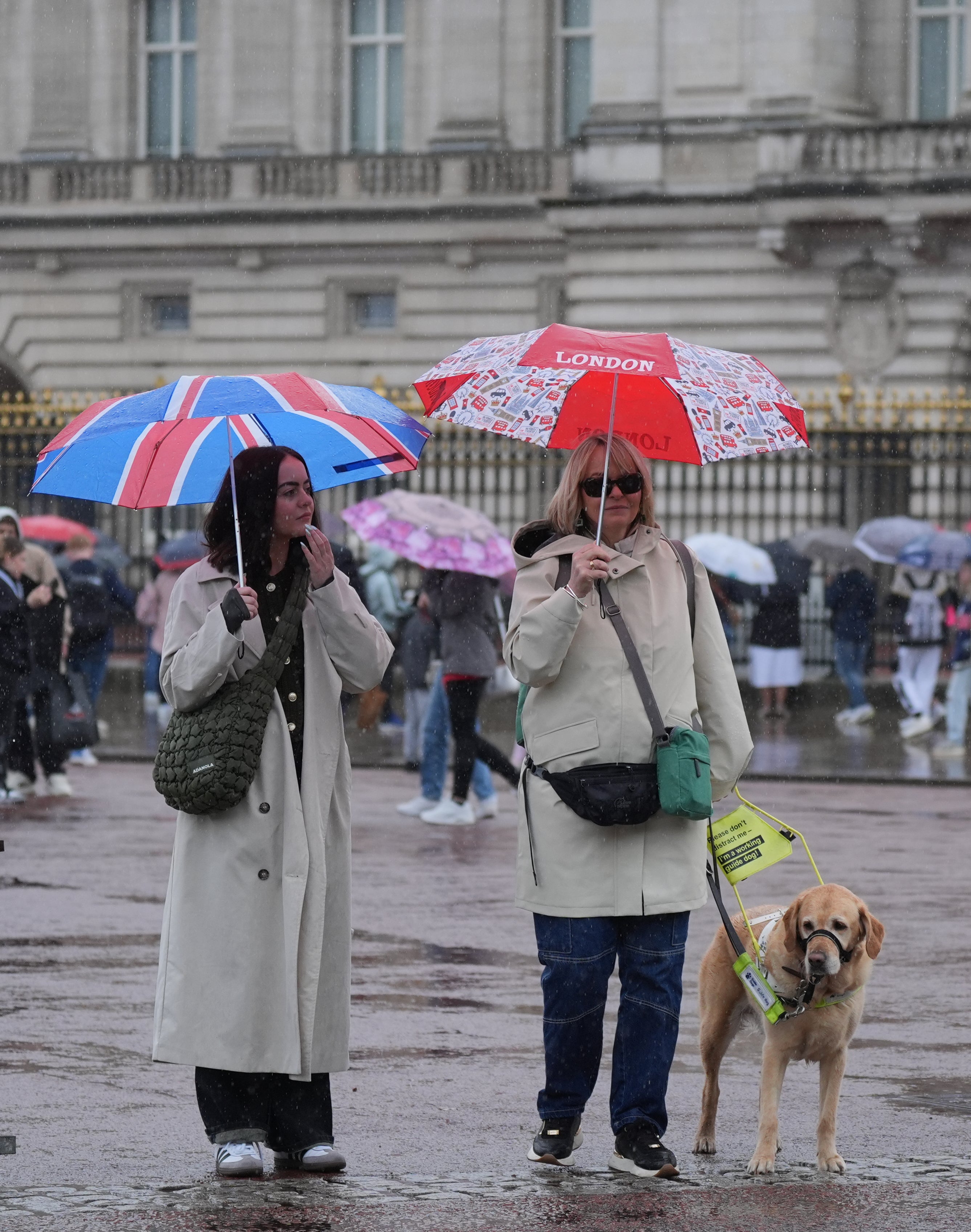 People shelter from the rain beneath umbrellas as they walk past Buckingham Palace